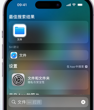 海盐apple维修中心分享iPhone文件应用中存储和找到下载文件 