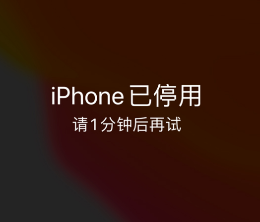 海盐苹果手机维修分享:iPhone 显示“不可用”或“已停用”怎么办？还能保留数据吗？ 