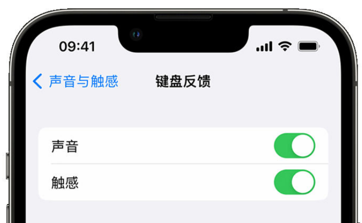 海盐苹果手机维修分享iPhone 14触感键盘使用方法 