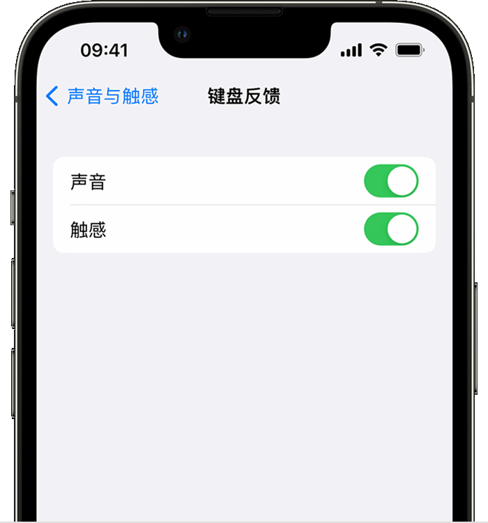 海盐苹果14维修店分享如何在 iPhone 14 机型中使用触感键盘 