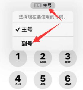 海盐苹果14维修店分享iPhone 14 Pro Max使用副卡打电话的方法 