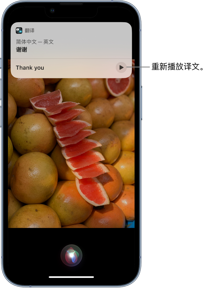 海盐苹果14维修分享 iPhone 14 机型中使用 Siri：了解 Siri 能帮你做什么 