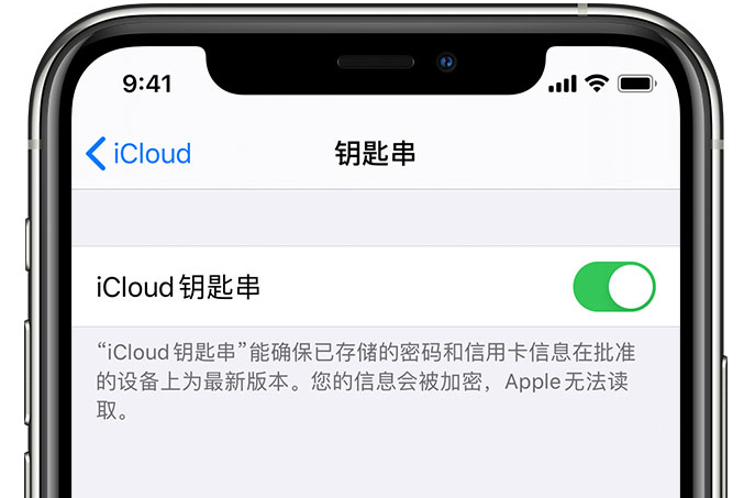 海盐苹果手机维修分享在 iPhone 上开启 iCloud 钥匙串之后会储存哪些信息 