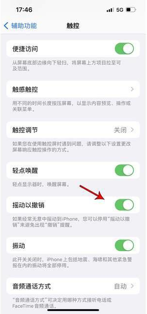 海盐苹果手机维修分享iPhone手机如何设置摇一摇删除文字 