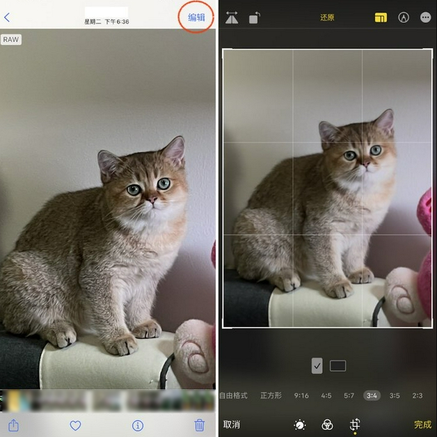 海盐苹果手机维修分享苹果 iPhone 12 Pro 拍照会过度锐化 