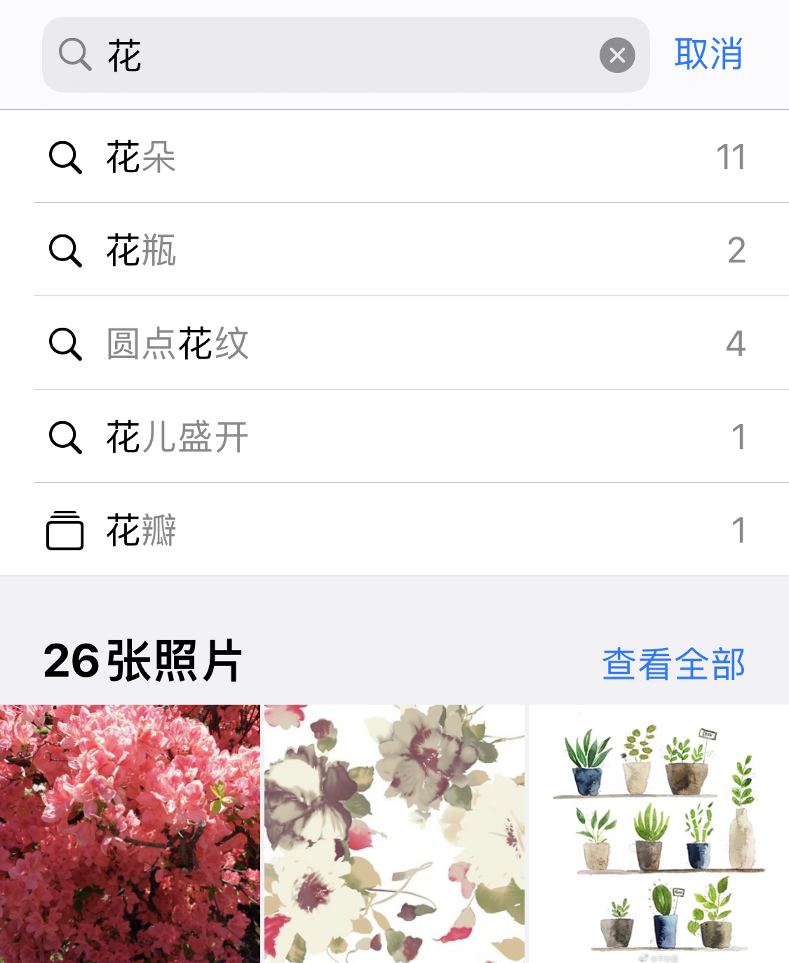 海盐苹果手机维修分享iPhone 小技巧 