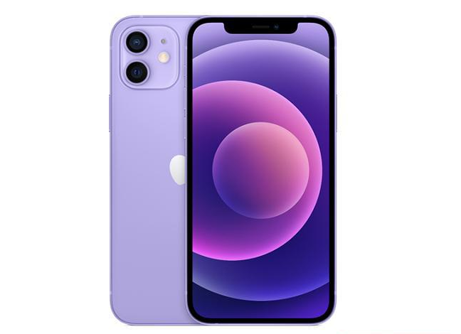 海盐苹果手机维修分享现阶段要不要入手紫色版iPhone12 