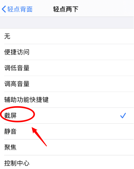 海盐苹果手机维修分享iPhone12如何启用双击截屏 