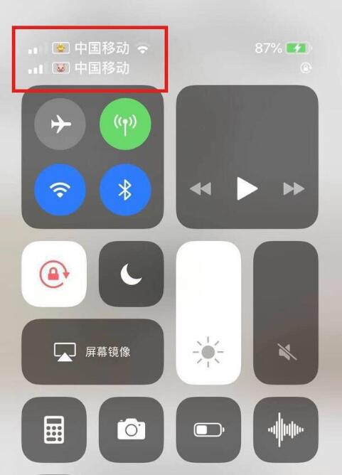 海盐苹果手机维修分享为 iPhone 12 双卡设置标签 