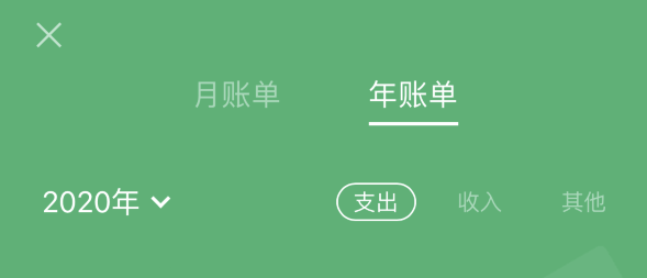 海盐苹果手机维修分享如何在 iPhone 上查看支付宝和微信年支出账单 